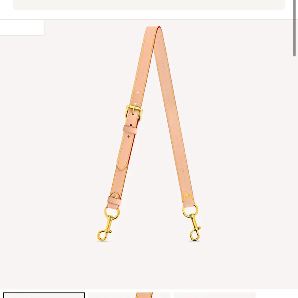 Louis Vuitton shoulder strap vvn